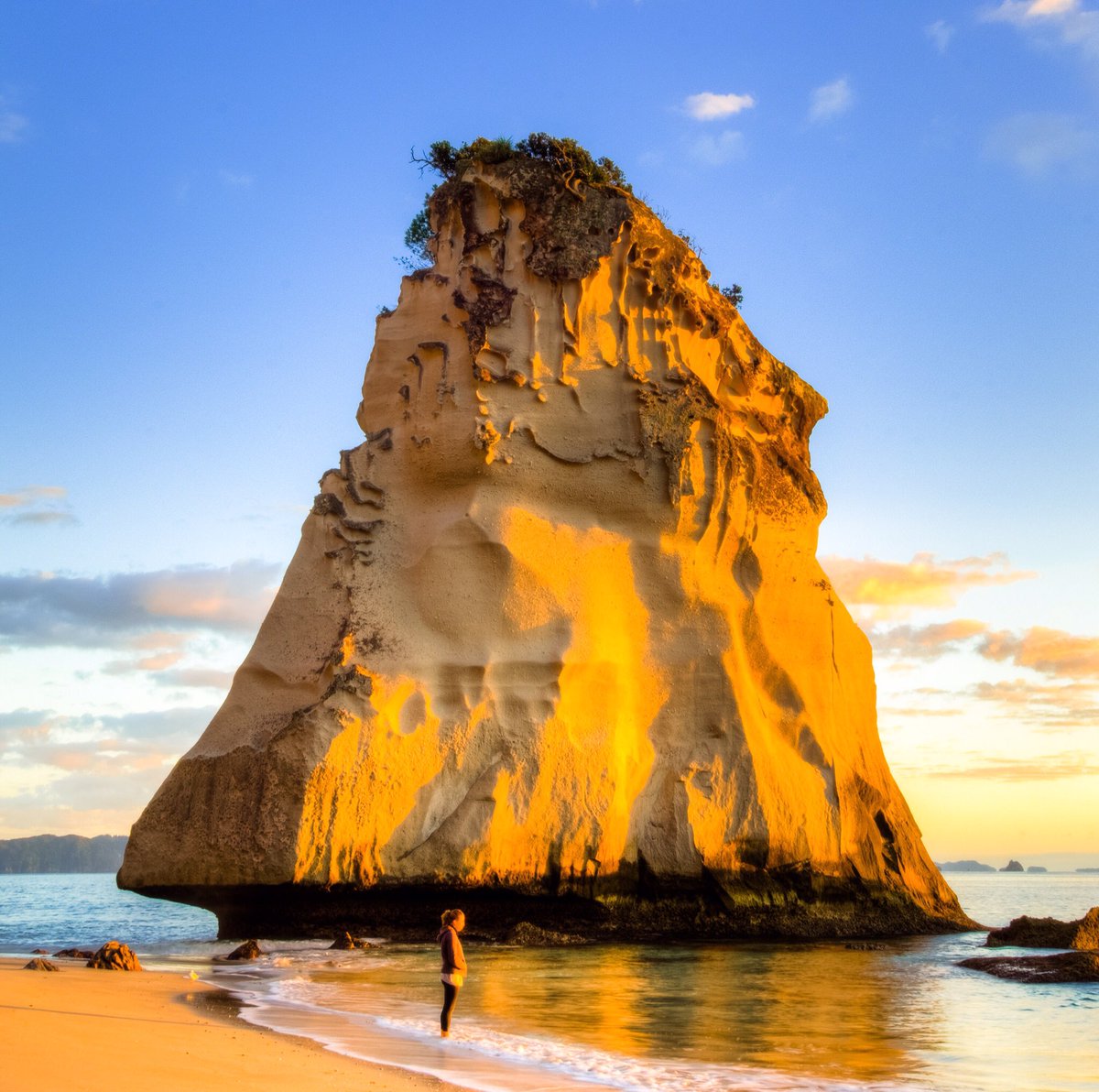tailsandstays's tweet photo. My contribution to today’s #DailyPhotoTheme, #yellowish 

At Cathedral Cove, New Zealand https://t.co/YiMO1q1orN