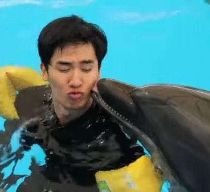 Casey 💕 on Twitter: "don't we all just love tay tawan?? animals and