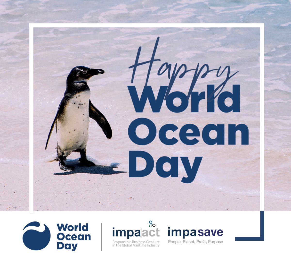 International Marine Purchasing Association tweet media