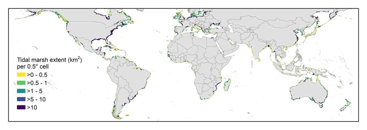 Tidal marshes, are critical coastal ecosystems and protecting them has never been more important for people and the planet. But to protect them, we need to know where they are, and there’s never been a global map of Earth’s tidal marshes—until now.