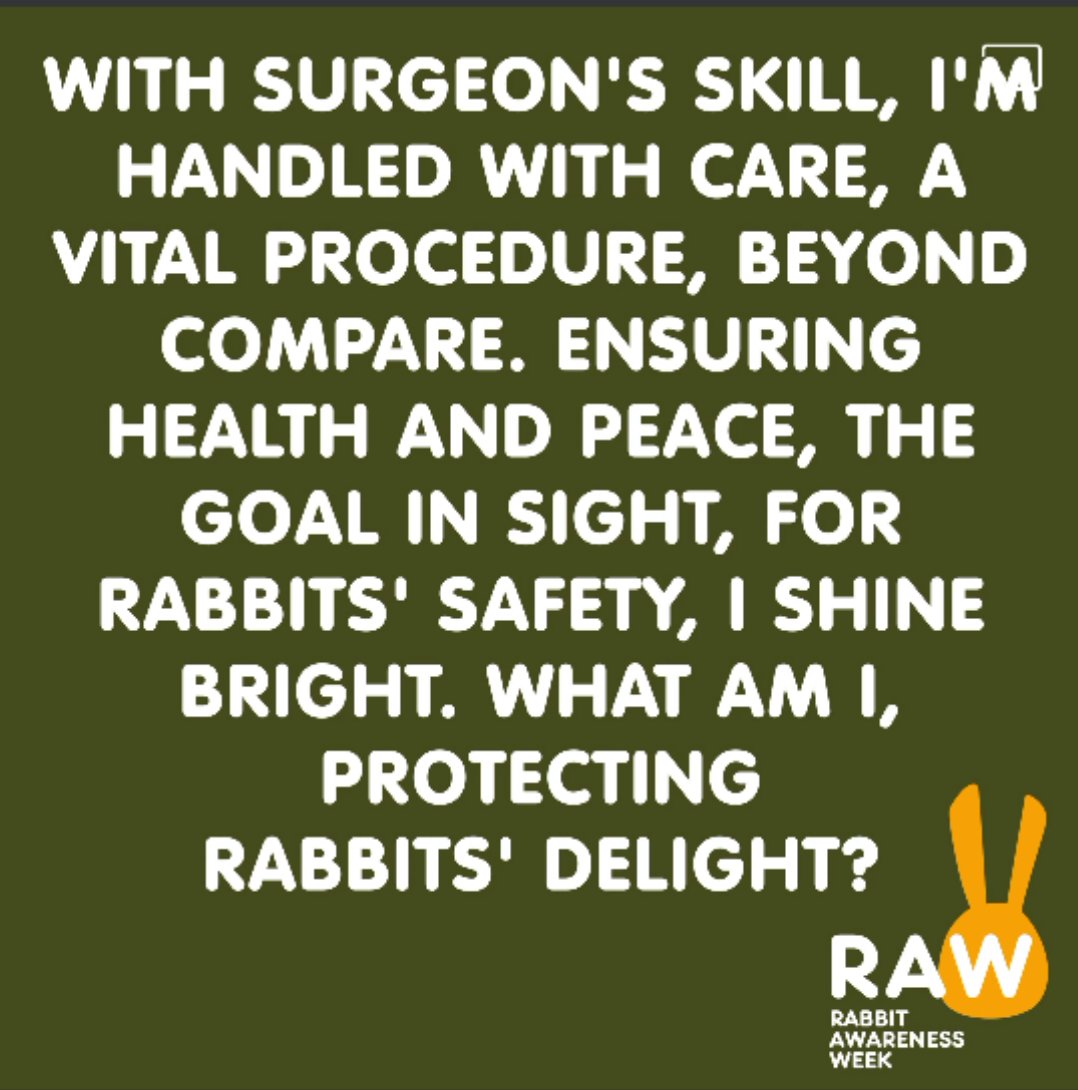 sleepy_burrows's tweet photo. We are delighted to be supporting Rabbit Awarenesses Week again this year. Offering free health check and advise to Boarders 

#raw2023 #RabbitAwarenessWeek #Rabbits #Rabbitboarding #veterinarynurse #Rabbitboardinglondon 

Can you figure out what this year's theme is ? https://t.co/A8umpfwniG