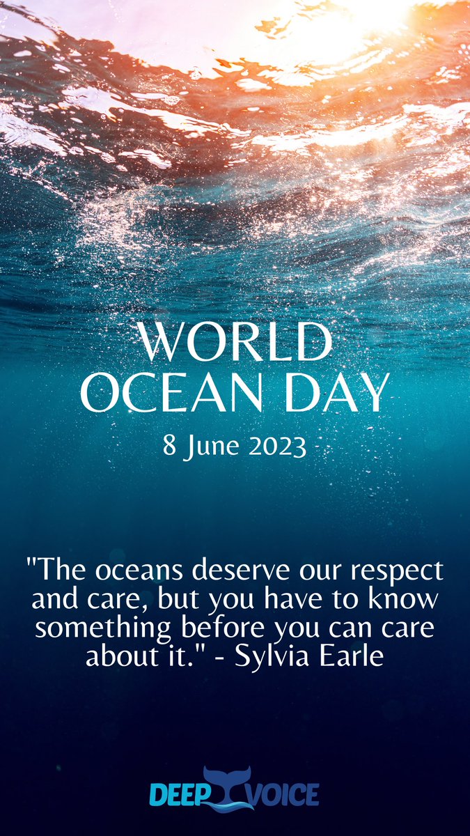whalevoiceIL's tweet photo. Happy world ocean DAY 🐳 https://t.co/IbAtSiVYo0