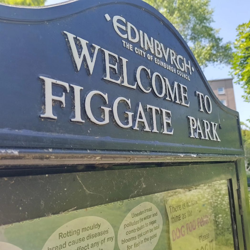 Edinburgh Southern Orienteering Club tweet media