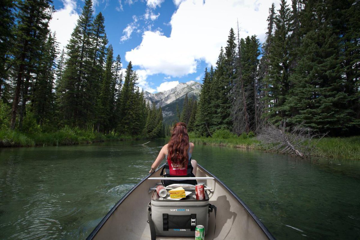 Totalcool tweet media