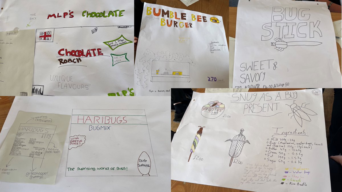Higher_Horizons's tweet image. Last week Year 9 students from @LeekHighSchool designed insect-based food products as part of a Food for the Future session where they discovered entomophagy during a campus visit to @HarperAdamsUni  #uniconnect #foodforthefuture