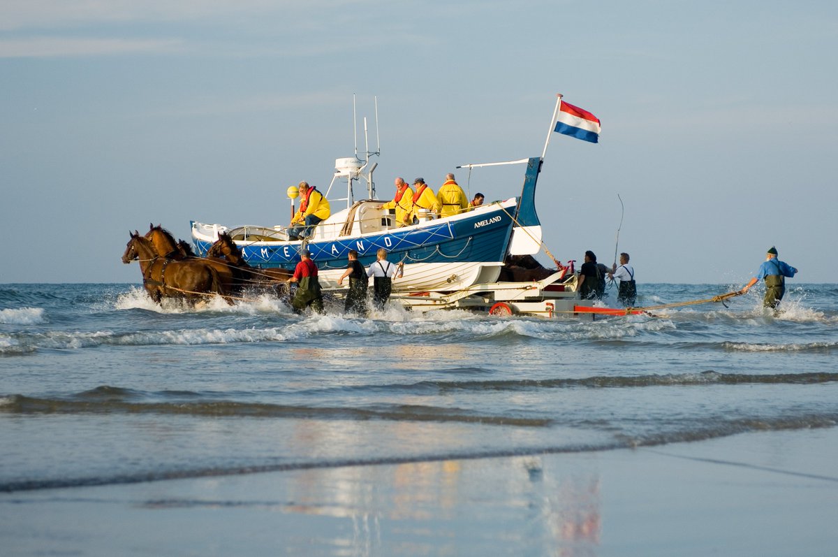 vvvameland's tweet photo. Voor welk evenement op waddeneiland Ameland ga jij? https://t.co/rnMn56e6hu #rugby #bootwateren #paardenreddingboot #actie https://t.co/KAYFhjTwqF