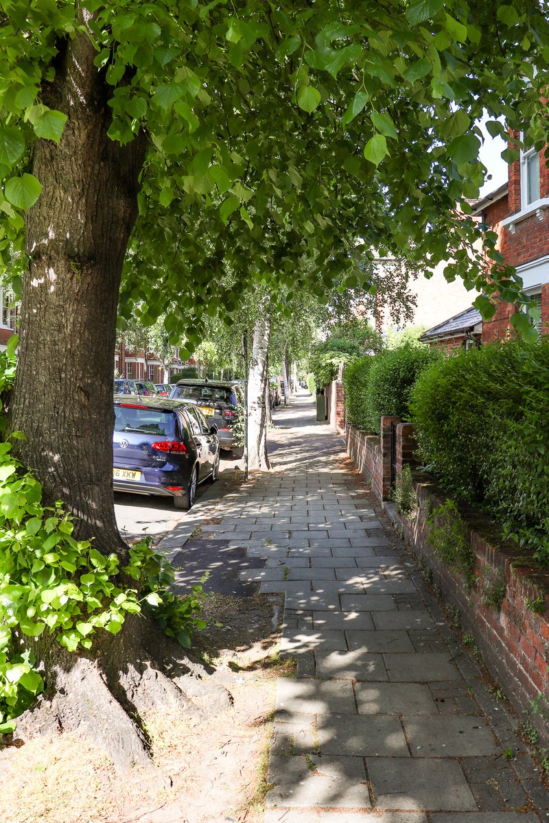 🌳Trees = natural air-conditioning for streets

On🌞🌞sun-baked days (like today)👇

⛱️They cast a cooling shade
🍃Their leaves pump moisture into the air
(transpiration 🫧)

🟰As a result
🏡Our homes are more comfortable
🚶‍♀️Going to a walk is a refreshing experience

🌳Thank-you!