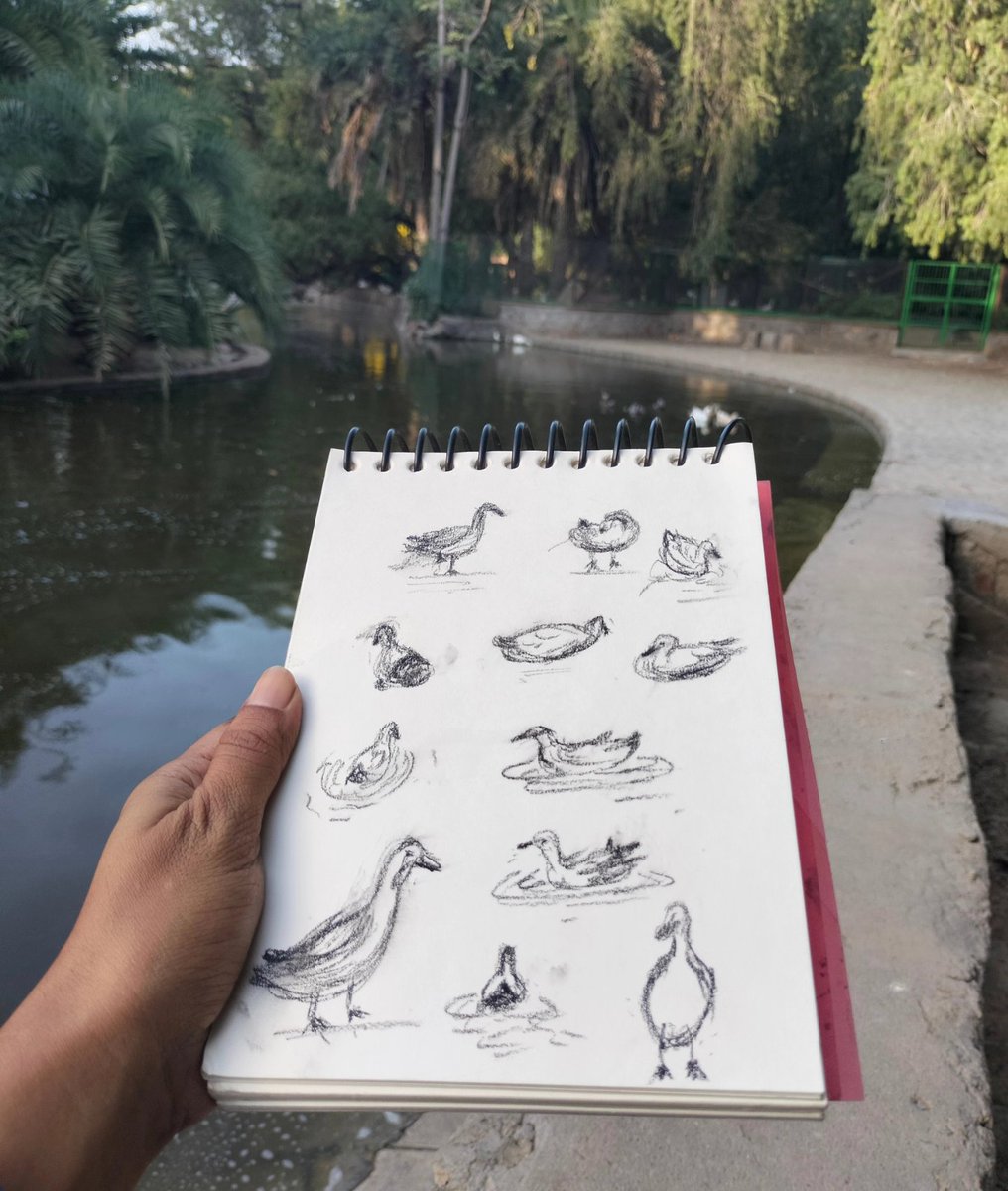 RichaKedia's tweet photo. Day 6 of International nature journaling week: Movement
Quick sketches of geese and other water birds in charcoal, my favourite subject and medium for capturing movement.
#naturejournalingweek2023 #naturejournalingweek #internationalnaturejournalingweek #wetlands #indiaves https://t.co/jKq8BqBrwN