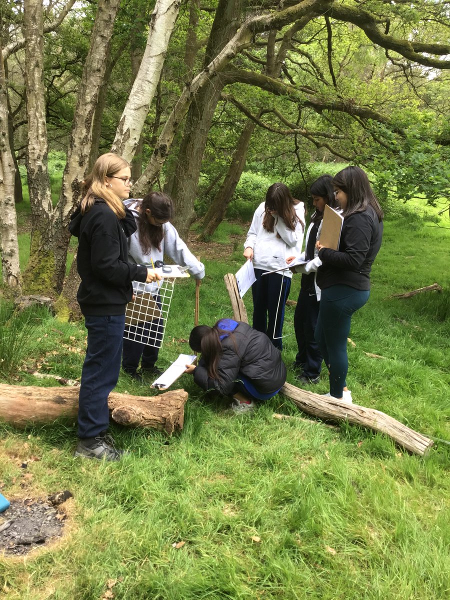 Year 9 headed to Epping Forest this week to undertake ecological practical work for GCSE Biology, developing their analytical and evaluative skills. #openingdoors #outdoorlearning