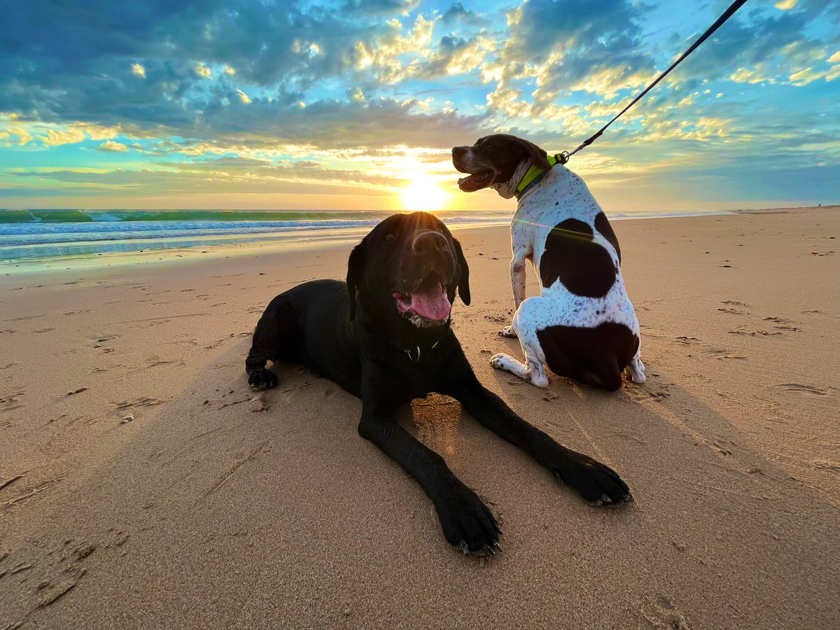 Pirata LeChuk (@lechukpirata) on Twitter photo  Pirata LeChuk (@lechukpirata) on Twitter photo