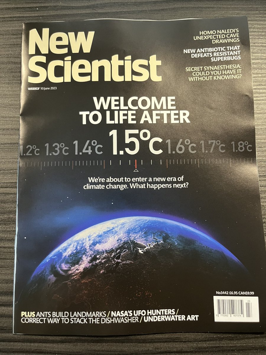 Madeleine Cuff tweet media