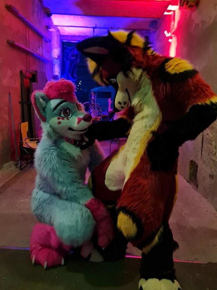 <a href="/Panchi_Wolf/">Panchi 🔜 FURSTRIKE 🔜 NFC</a> knows how to treat a fox💕👀

📸 <a href="/Kon_Kazzuka/">Kazzuka // DeadPaw</a>