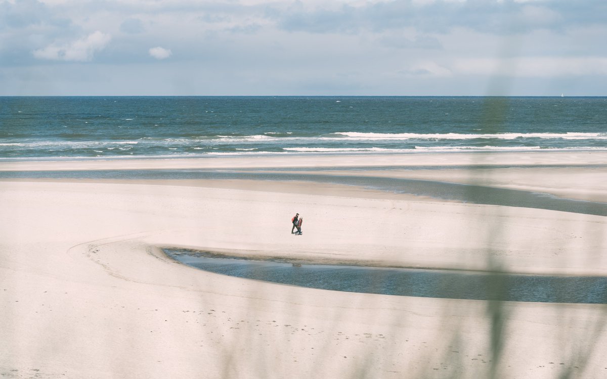 🌊 Happy #WorldOceanDay! This year's theme, 'Tides are changing,' fits our precious #WaddenSea perfectly. Join us in combating plastic waste and #pollution, and preserving the ecosystem for future generations. Together, we can make a difference! 🌍💙 📷CWSS/ Sten Wendling