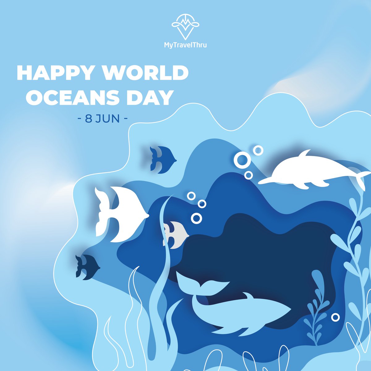 Celebrating the vast wonders that lie beneath the surface, let's join hands to protect and restore our precious oceans.

🌊 HAPPY WORLD OCEANS DAY! 🌊

#traveling #transport #airport #airporttransfer #airporttransfers #airporttransportation #mytravelthru