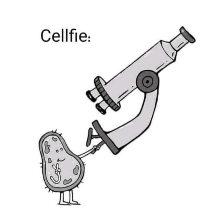 ScienceAnimated's tweet image. #Science #humor 😂