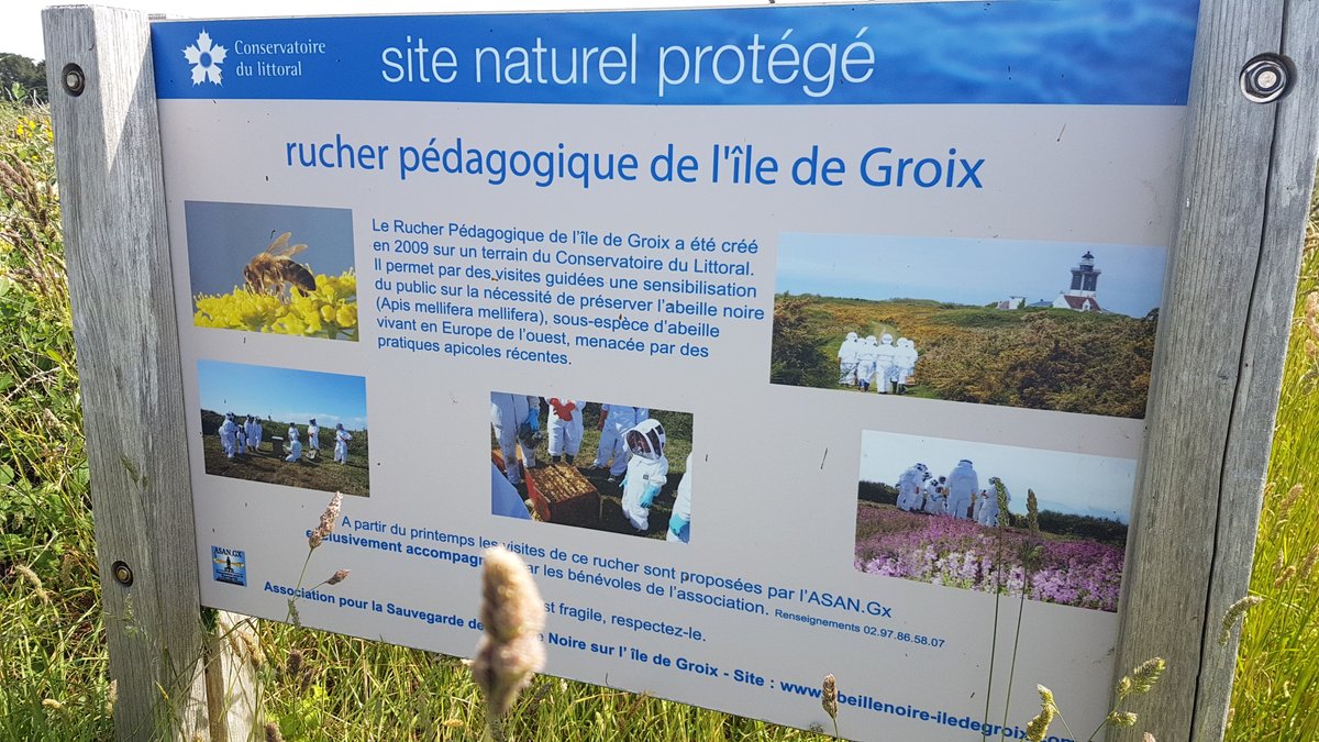 AudéLor tweet media