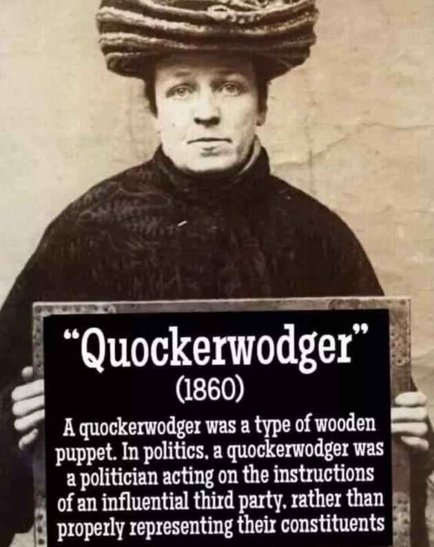 'Quockerwodger'
Meaning ..
Dan Andrews is the perfect 'Quockerwodger'
Works for the 3rd party called the Chinese Communist Party.