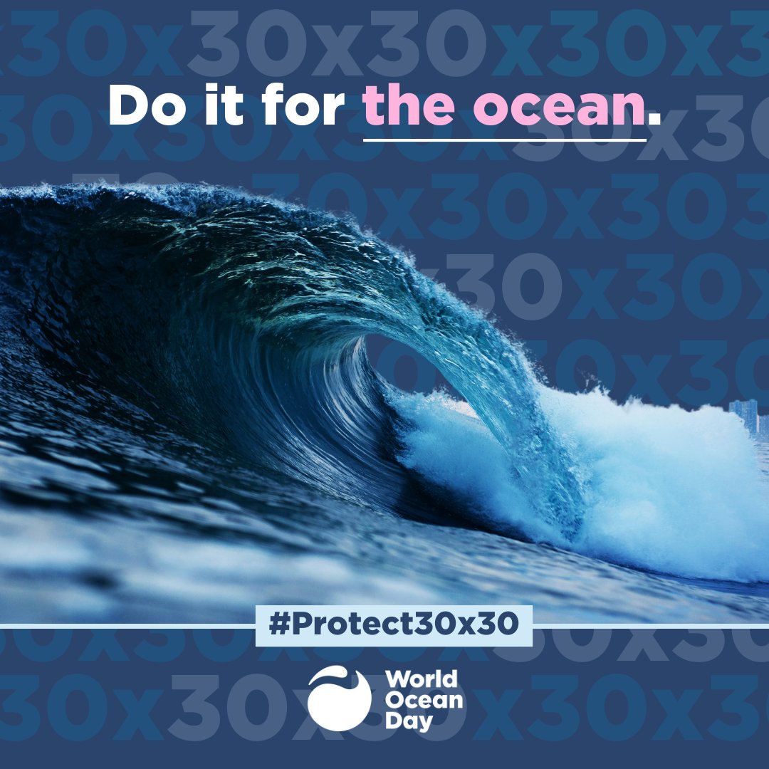 Today is World Ocean Day! 🌊

Show support for the 30x30 movement — a global call to action with the goal of protecting at least 30% of the lands, waters, and ocean by 2030.

Learn more at worldoceanday.org/30x30

#Protect30x30 #WorldOceanDay #OceanClimateChange