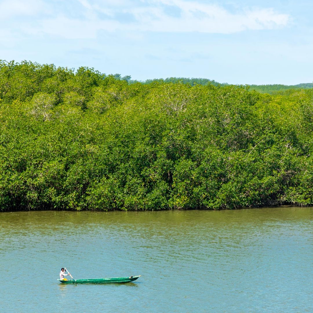 FAOfish's tweet photo. Co-management is helping coastal communities in #Peru restore #biodiversity &amp; livelihoods.

Dive into this inspiring story by the Coastal #Fisheries Initiative, showcasing people's stewardship in conserving aquatic resources 👉 https://t.co/hVXPE75L5y

#CFIgef, #WorldOceansDay https://t.co/RiiCYrGvJM