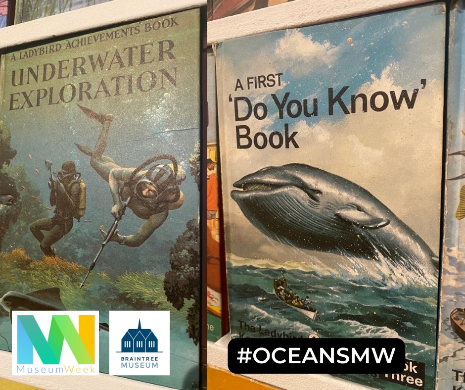 See if you can find these beautiful book covers on our wall of books during the Wonderful World of the Ladybird Book Artists exhibition! 

(Underwater Exploration is a personal favorite!) 🐳🐠

#MuseumWeek2023 #Oceans