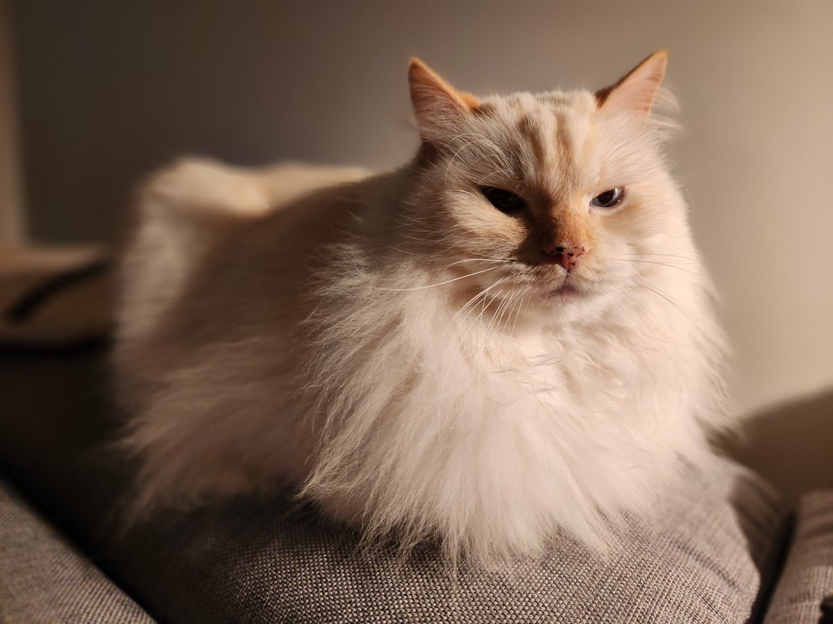 Migsommar tweet media