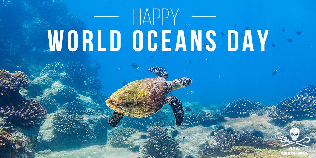 Happy World Ocean Day 🌊 🙌