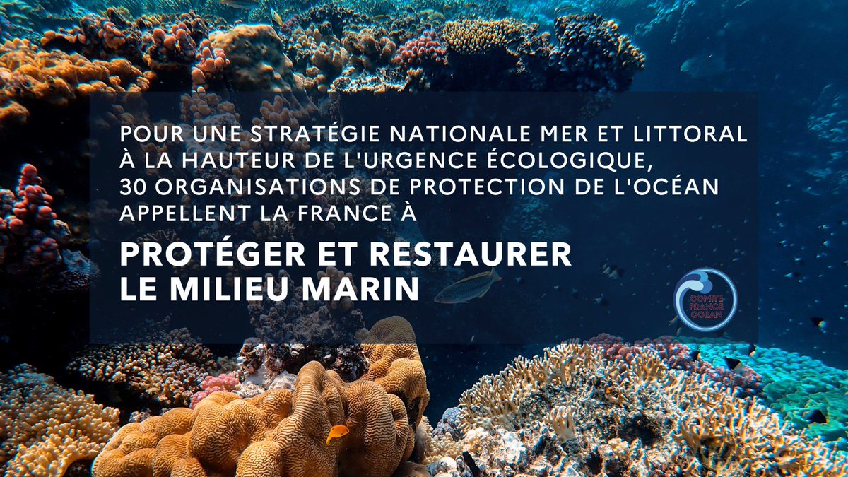 📣🌊[TRIBUNE] RespectOcean co-signe, aux côtés de 29 autres organisations de protection de l’#océan une tribune appelant la France à intégrer les recommandations émises par les scientifiques et la société civile dans la #SNML2.

▶ Lire la Tribune : urlr.me/RFKdz
