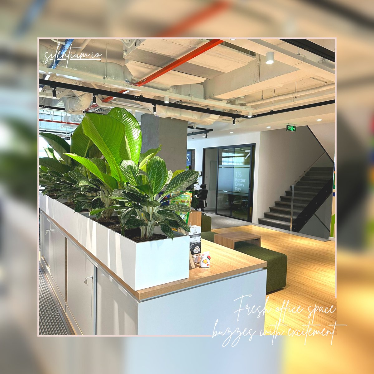 silentium_io's tweet photo. Here's to the exciting future and our fantastic new office @ Sala. Cheers!
__
⛵️ https://t.co/D2gWUsxmvm
#Silentium #office #HCMC https://t.co/NhynNjtoF7