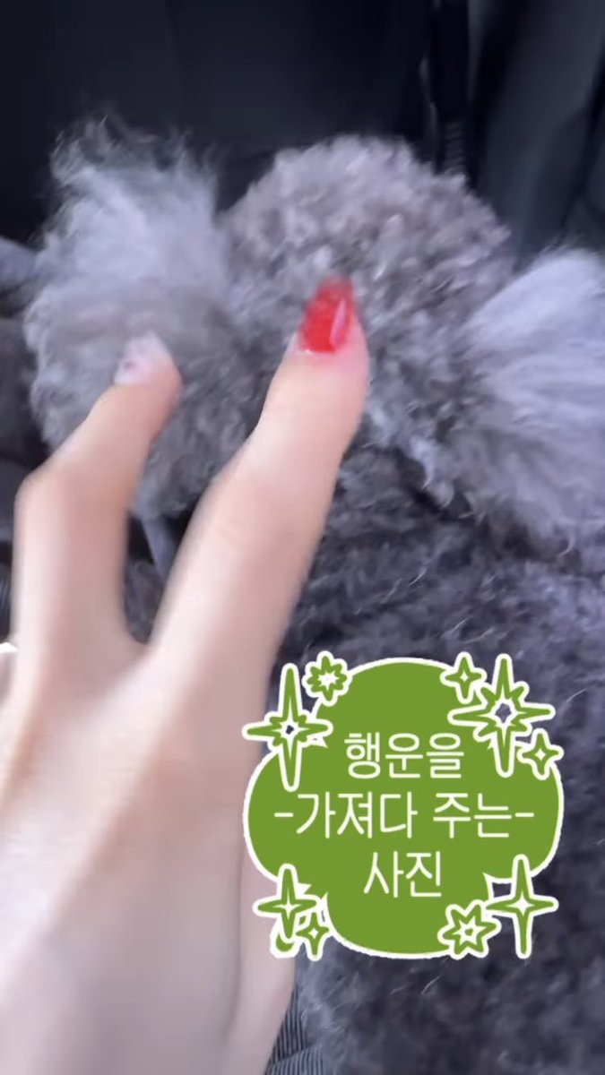 LoonaTheGermany's tweet photo. #UPDATE | Yeojin (yeojin._.o_x) Instagram-Story Update 🐸

#이달의소녀 #LOONA #여진 #Yeojin https://t.co/D6oE8mCiEB