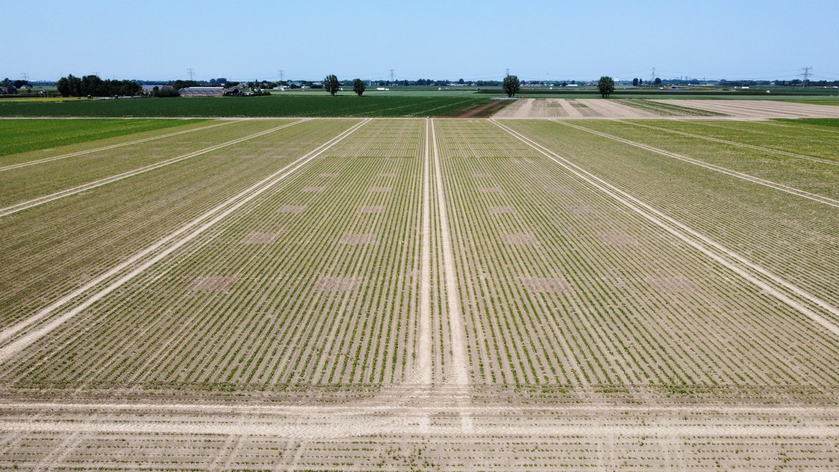 André van Valen tweet media