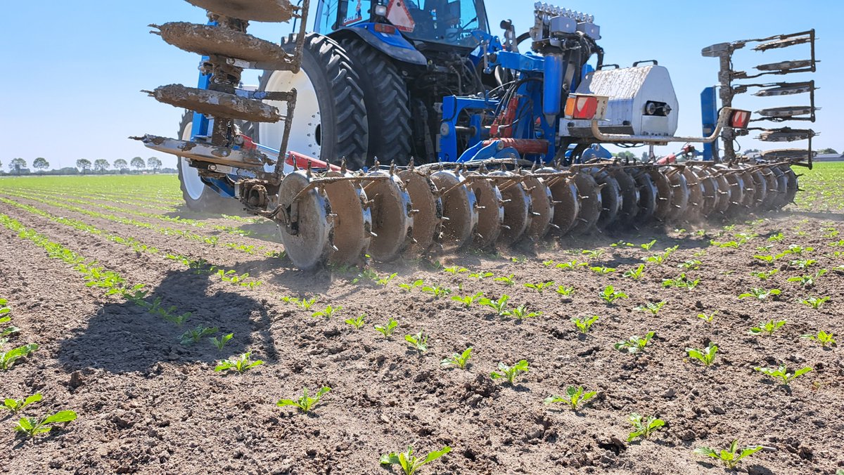 André van Valen tweet media