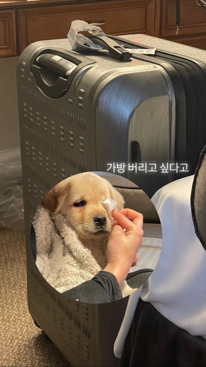 cornshushu's tweet photo. 여행갈때 : 부족하면 어쩌지? 가방에 자리가 없네 ㅜㅜ
여행중 : 걍 다 버리고싶다 https://t.co/xPZ0rpRasO