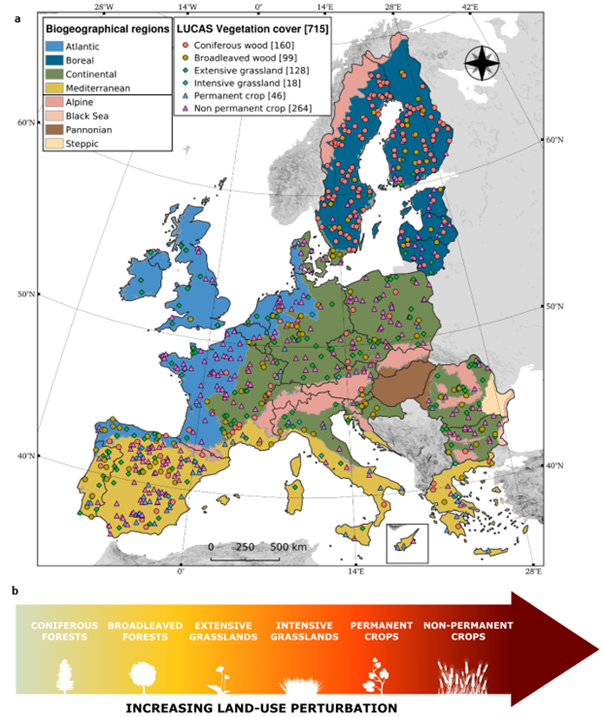 alberto_orgiazzi (@lultimoalbero) on Twitter photo Five years after my (crazy) idea to include soil biodiversity in <a href="/EU_ScienceHub/">EU_ScienceHub</a>'s LUCAS, the largest ๐ช๐บ soil survey, I'm excited to unveil first results๐คฉ๐ฆ ๐๐ค
"Patterns in soil microbial diversity across Europe" published in <a href="/NatureComms/">Nature Communications</a>
nature.com/articles/s4146โฆ Five years after my (crazy) idea to include soil biodiversity in <a href="/EU_ScienceHub/">EU_ScienceHub</a>'s LUCAS, the largest ๐ช๐บ soil survey, I'm excited to unveil first results๐คฉ๐ฆ ๐๐ค
"Patterns in soil microbial diversity across Europe" published in <a href="/NatureComms/">Nature Communications</a>
nature.com/articles/s4146โฆ