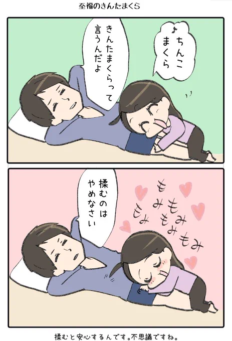 今日の夫婦の会話 【きんたまくら】