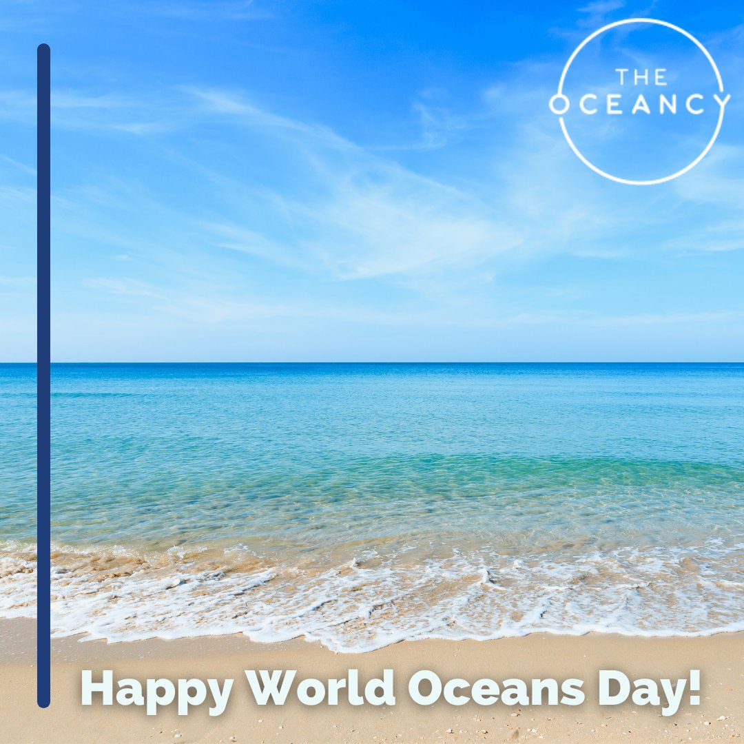 The Oceancy tweet media