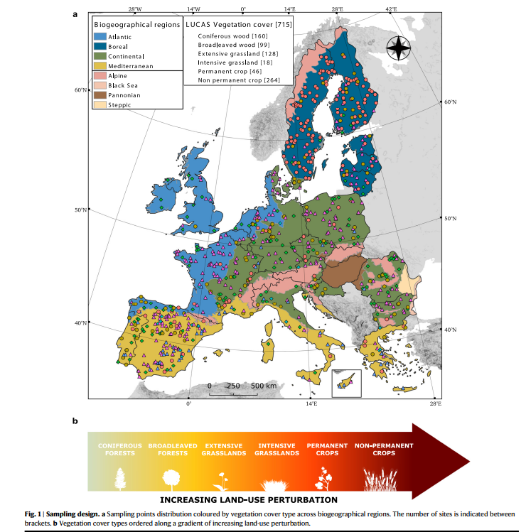 Our new paper demonstrates patterns in soil microbial diversity across Europe. We analysed 715 sites and detected 79’000 bacterial taxa and 25’000 fungal taxa. Pathogens were most abundant in cropland while fungal symbionts dominated in woodland.

see: nature.com/articles/s4146…