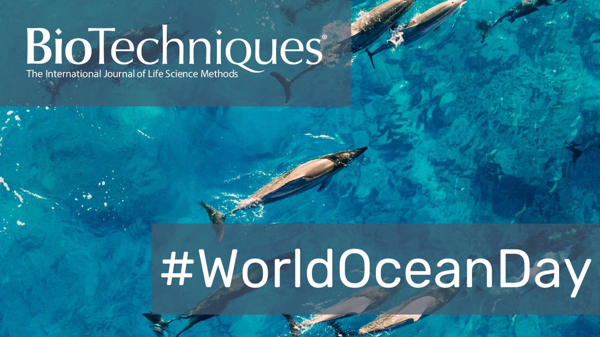 @PernilleMS, @_StephanieLKing and co @DolphinResearch and @BristolBioSci have discovered that human-made noises are disrupting wild dolphins’ ability to communicate and complete cooperative tasks >>> biotechniques.com/veterinary-sci… 🌊 (5/7) #WorldOceanDay