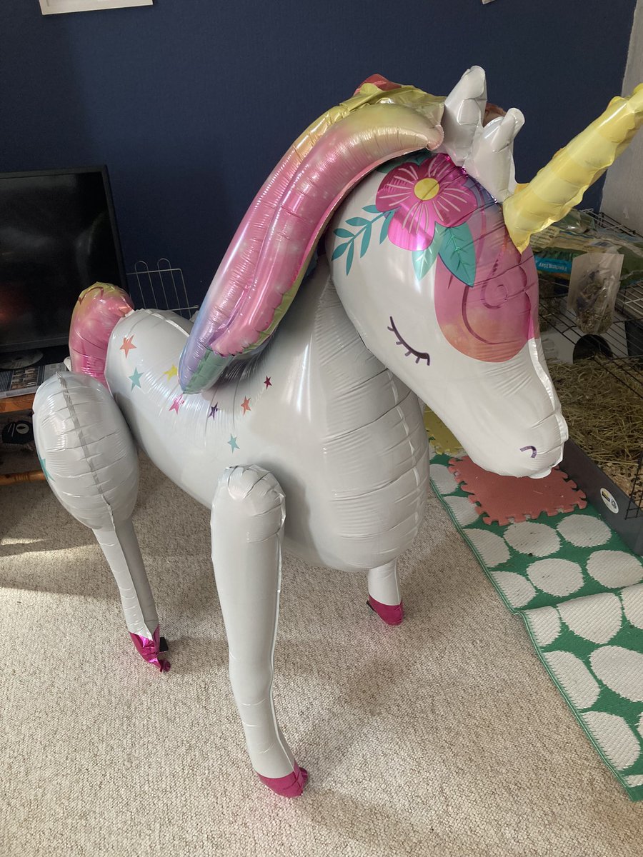 I promised my neices a unicorn for their birthday and a unicorn they shall have…love being an auntie can spoil them and none of the hard work ❤️