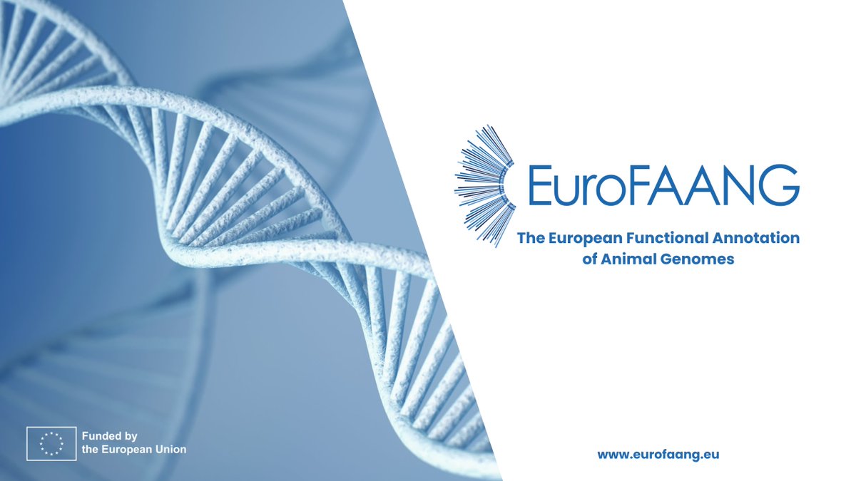 EuroFAANG (@eurofaang) on Twitter photo 🗞️Press release!
👋Meet the #EuroFAANG project!
🧬Accelerating genome-to-phenome research for farmed animals in Europe is the goal we are working towards🐄🐖🐟
🔗Read it now: cutt.ly/xweg7enu
🇪🇺#AnimalGenetics #HorizonEU <a href="/FBNDummerstorf/">FBN Dummerstorf</a> 🗞️Press release!
👋Meet the #EuroFAANG project!
🧬Accelerating genome-to-phenome research for farmed animals in Europe is the goal we are working towards🐄🐖🐟
🔗Read it now: cutt.ly/xweg7enu
🇪🇺#AnimalGenetics #HorizonEU <a href="/FBNDummerstorf/">FBN Dummerstorf</a>