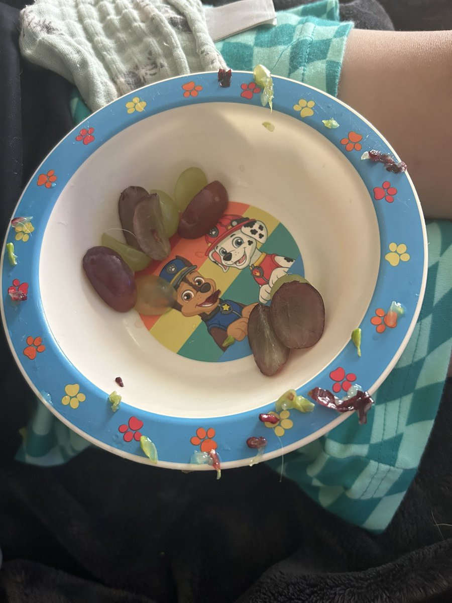 MissBarradell's tweet photo. @asda Hello I purchased these ‘Seedless’ grapes on Tuesday which firstly are clearly not seedless and half were also gone off 😩 https://t.co/mhqXSKesLh