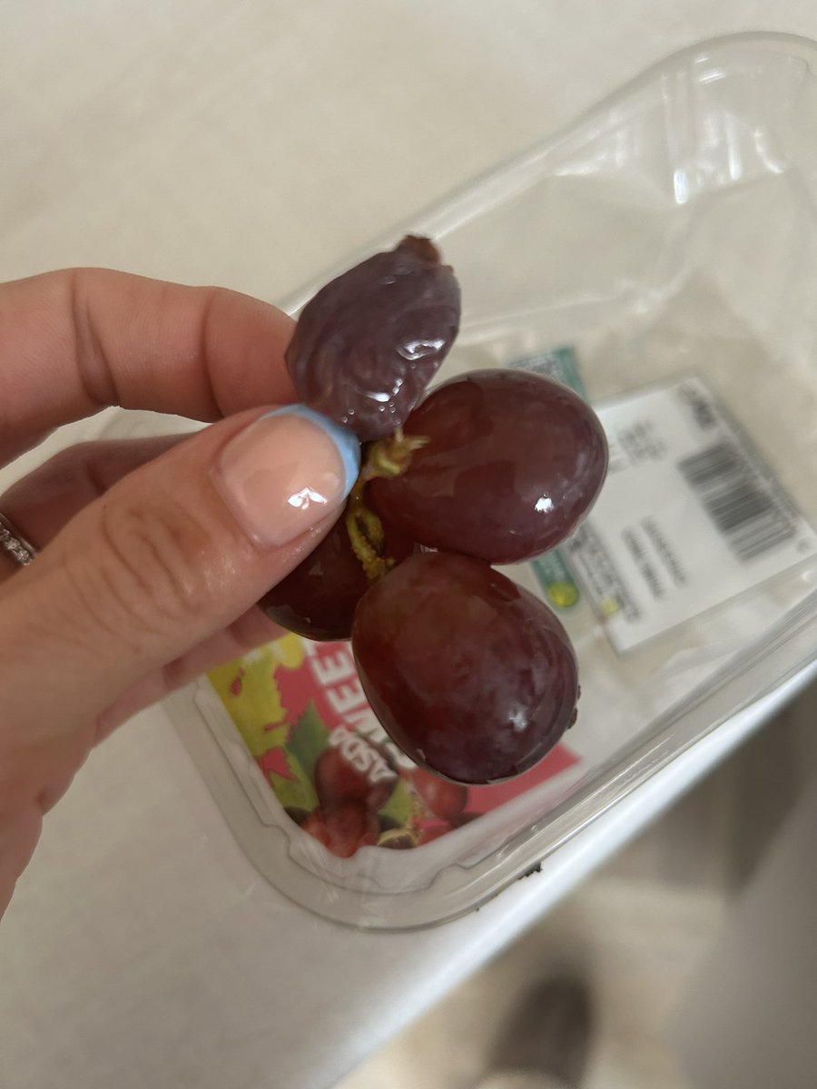 MissBarradell's tweet photo. @asda Hello I purchased these ‘Seedless’ grapes on Tuesday which firstly are clearly not seedless and half were also gone off 😩 https://t.co/mhqXSKesLh