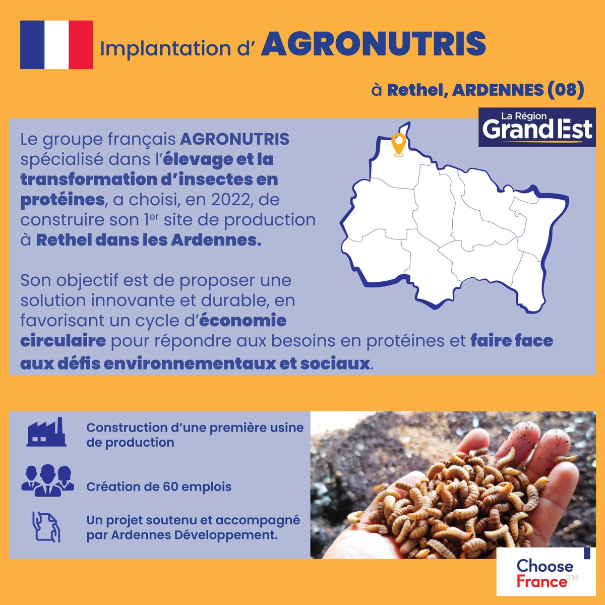 [Bilan 2022 des investissements directs - Retour sur l’implantation d’acteurs majeurs de la transformation en <a href="/regiongrandest/">Région Grand Est</a> ]

🇫🇷 Implantation de la première usine de production d’Agronutris à Rethel, accompagné par @ArdennesDev  
🐛 🐜 🌱 
#bioeconomie #économiecirculaire