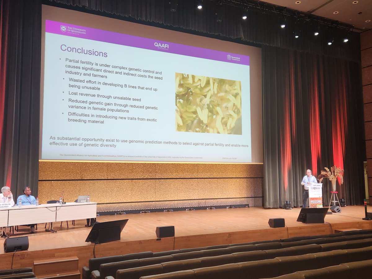 @SorgGuy highlights complexity of partial fertility in sorghum. Breeders typically manage this through conservative crossing but this has consequnces incl reduced genetic gain through low genetic variance in females. Genomic selection provides options to address this! #sorghum23