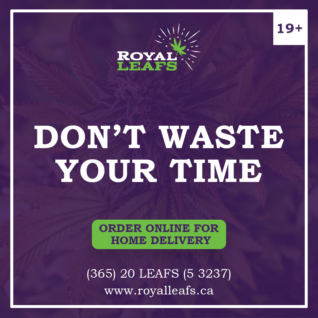 royalleafs's tweet photo. Discover a harmony of nature and wellness through our exquisite product line.
Contact Us: +1 365-205-3237
Learn more at https://t.co/aJGOJ4DWE4
#NaturalRemedies #WellnessJourney #DiscoverMore #Relaxation #euphoria #DiscoverMore #waterdown #waterdownvillage #milton #dispensary https://t.co/SOI10M2PdS
