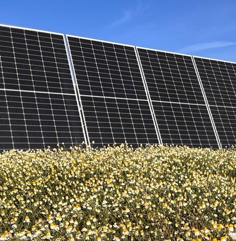 Consejería Transición Ecológica y Sostenibilidad tweet media