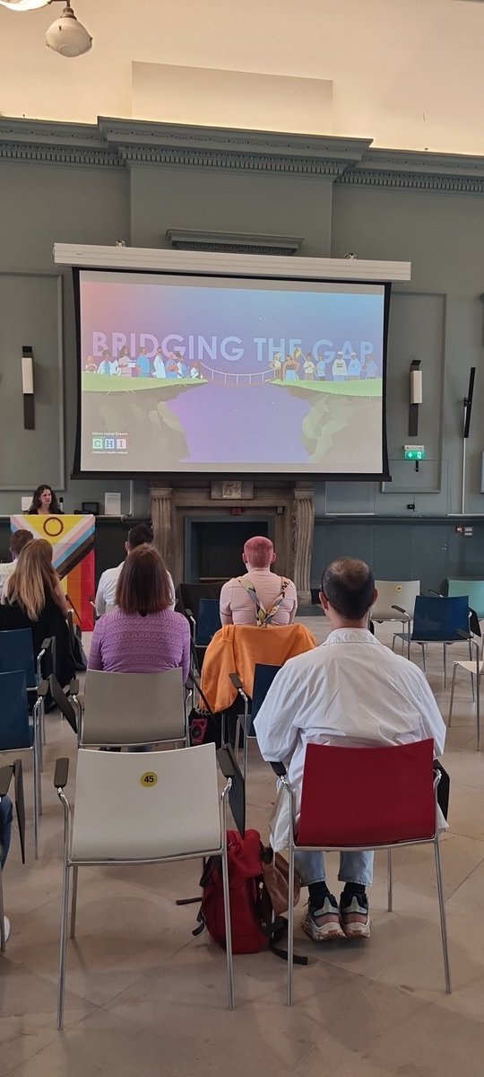 5 themes emerged from study evaluating what the HSE rainbow badge meant to LGBTQ+ staff 1. Pride 2. Symbol of safety 3. Impact on workplace culture 4. Awareness 5. More to be done (especially for Trans community, same sex parents and mental health)