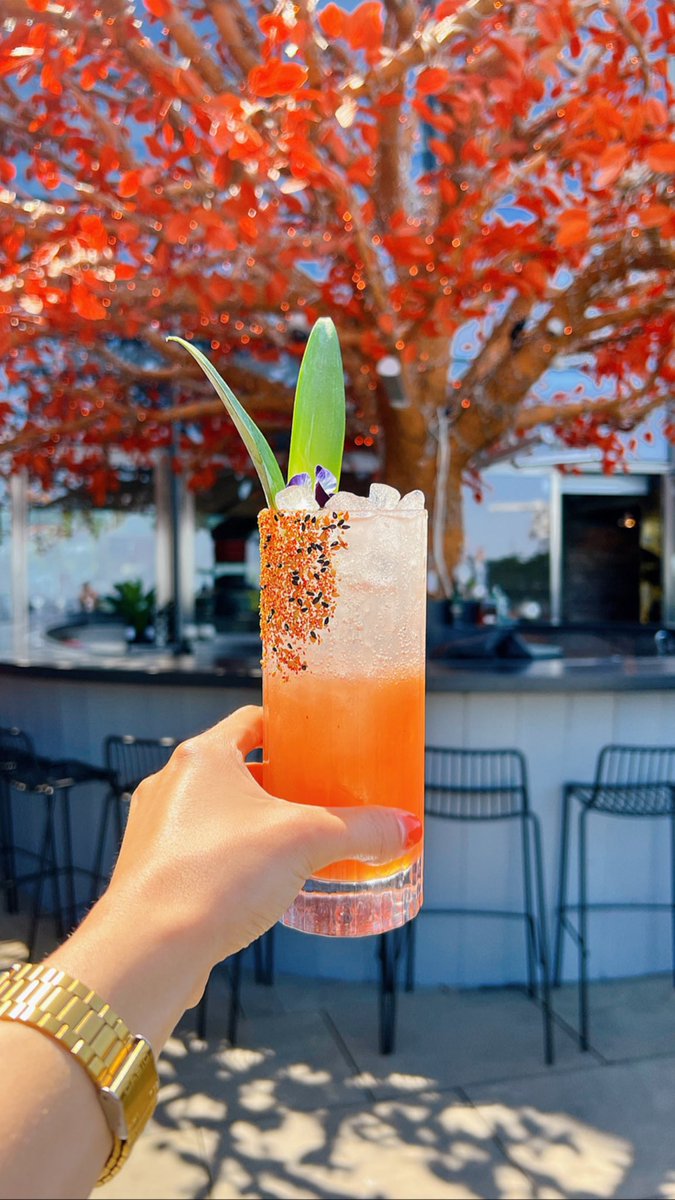 🍸✨Did you know we have a delicious monthly cocktail that we like to call the SAMBATINI?

This month is the 🍓FRUTILLA✨ Made with Pisco, Strawberry Jalapeño Cordial, Grapefruit and topped up with Soda water! Who’s coming to try it?👀

#sushisamba #london #cocktails