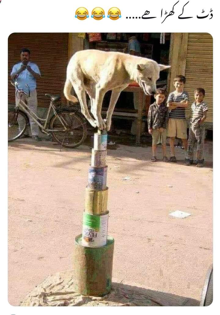 فتنہ ابھی تک ڈٹ کے کھڑا ھے