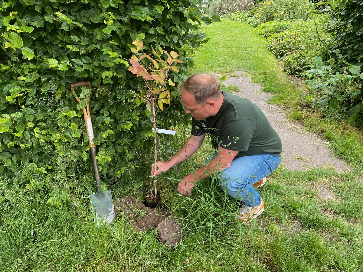 Ham House tweet media