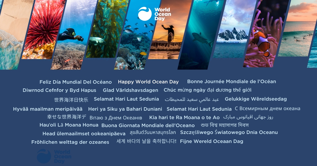 Crewdentials would like to wish everyone a HAPPY WORLD OCEAN DAY. #WorldOceanDay